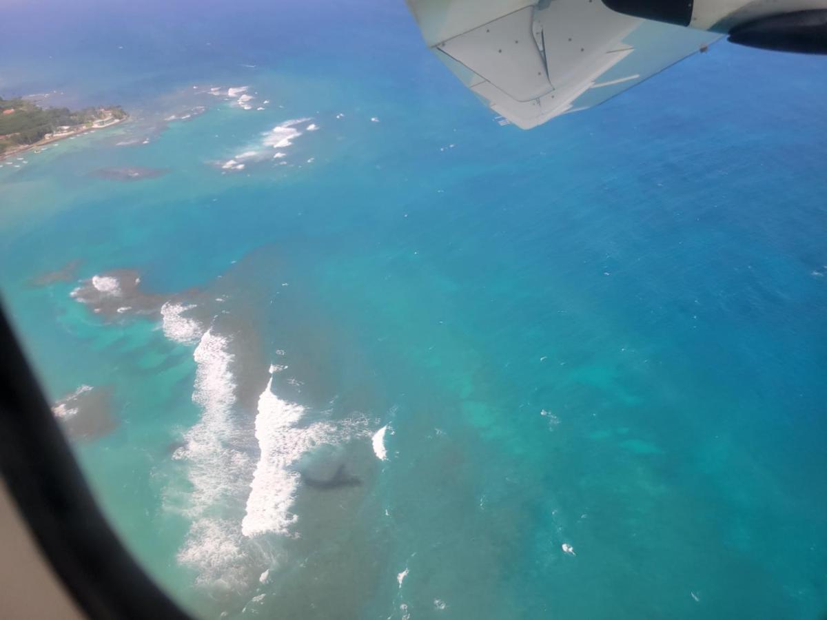 דירות North End Ocean View מראה חיצוני תמונה